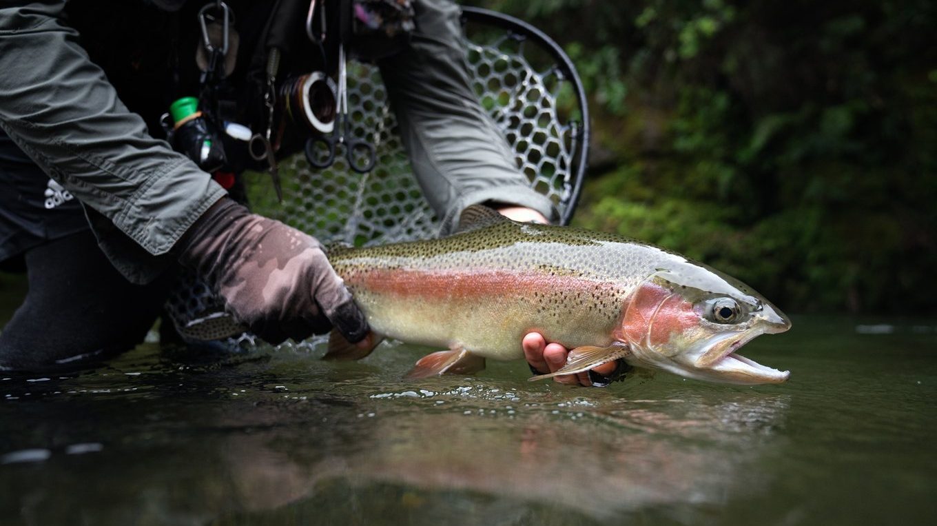 1360x880 blog catch release fishing 1360x763