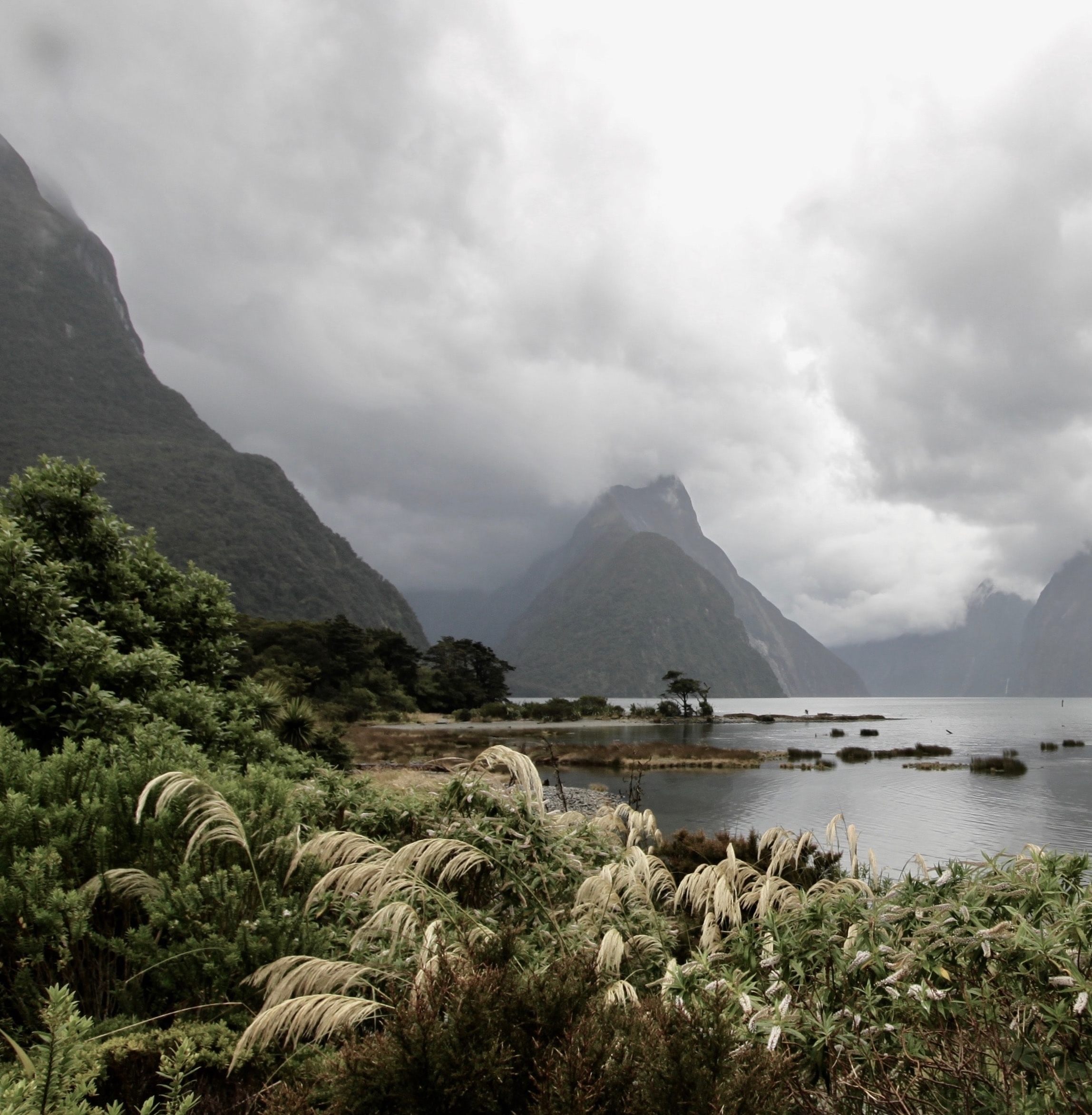 Fiordland small