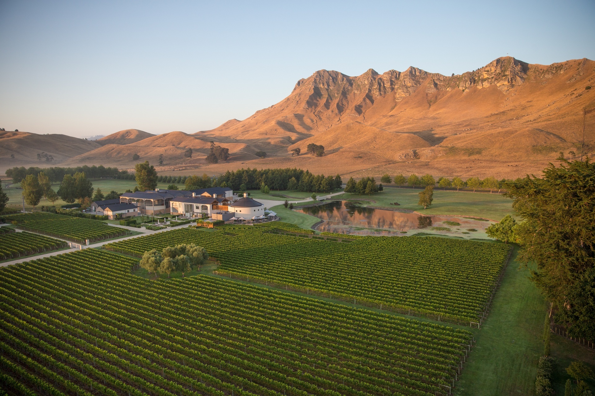 Hawkes bay craggy range aerail