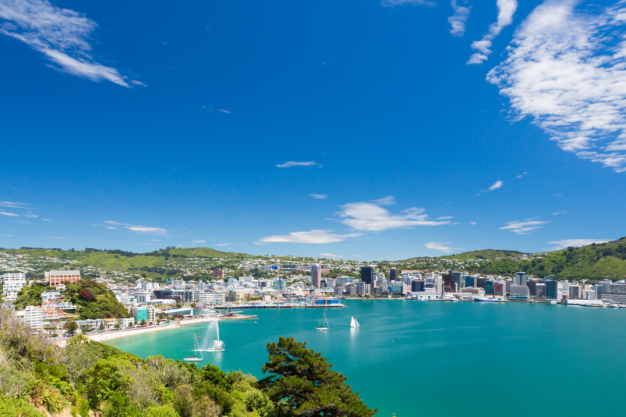 Wellington harbour
