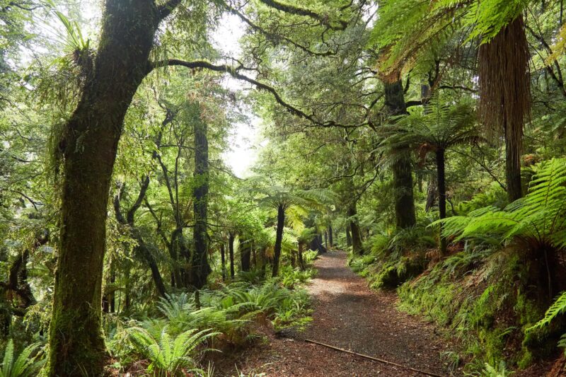 Hiking lake waikareiti