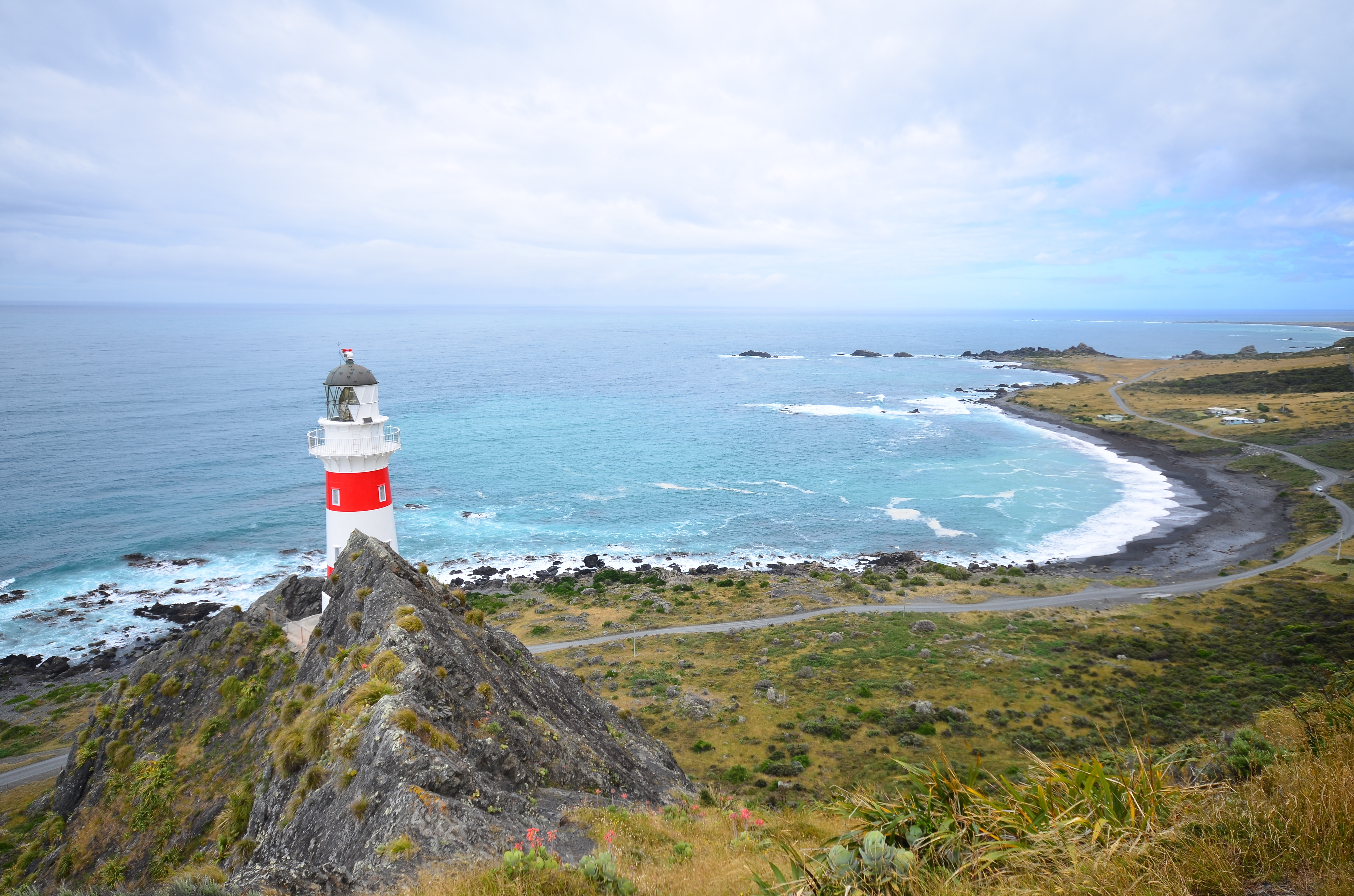 Wairarapa cape palliser